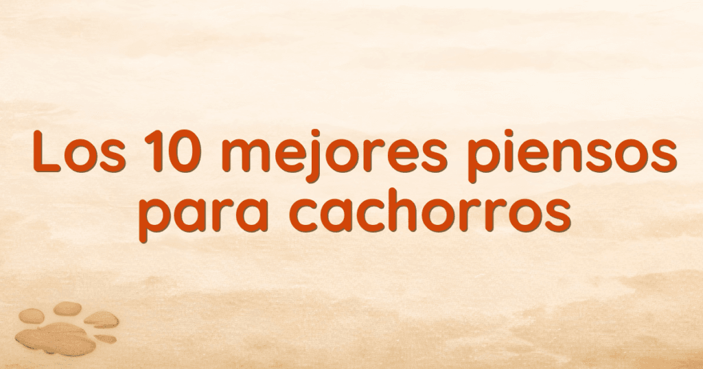 Los 10 mejores piensos para cachorros Los 10 mejores piensos para cachorros