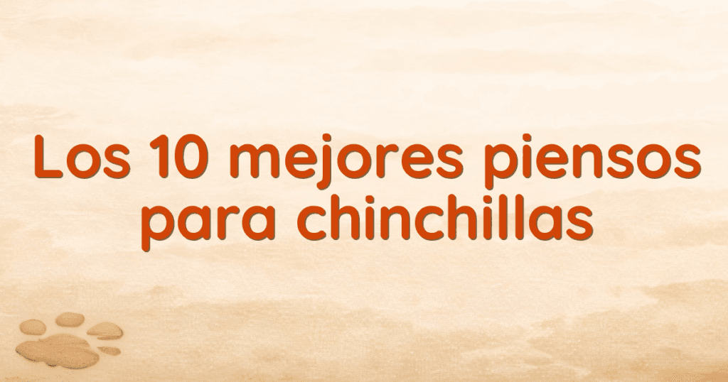 Los 10 mejores piensos para chinchillas