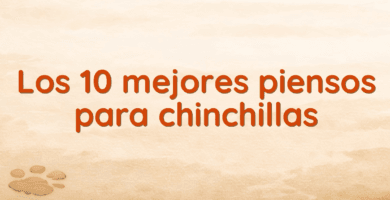 Los 10 mejores piensos para chinchillas