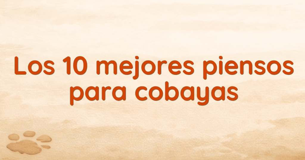 Los 10 mejores piensos para cobayas