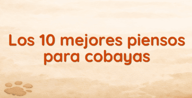 Los 10 mejores piensos para cobayas