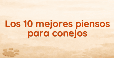 Los 10 mejores piensos para conejos