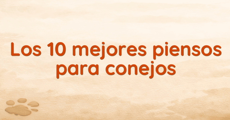 Los 10 mejores piensos para conejos