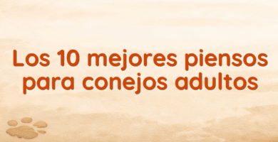 Los 10 mejores piensos para conejos adultos