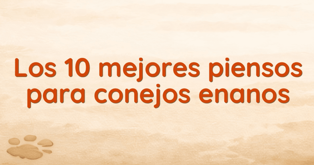 Los 10 mejores piensos para conejos enanos Los 10 mejores piensos para conejos enanos