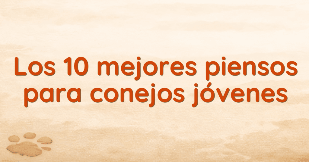 Los 10 mejores piensos para conejos jóvenes Los 10 mejores piensos para conejos jóvenes