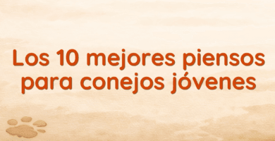 Los 10 mejores piensos para conejos jóvenes
