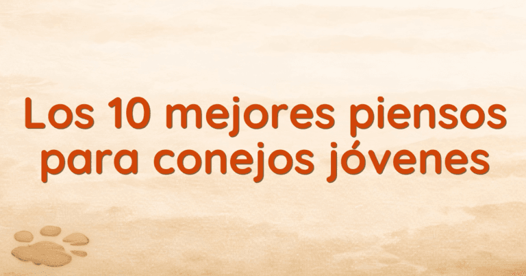Los 10 mejores piensos para conejos jóvenes