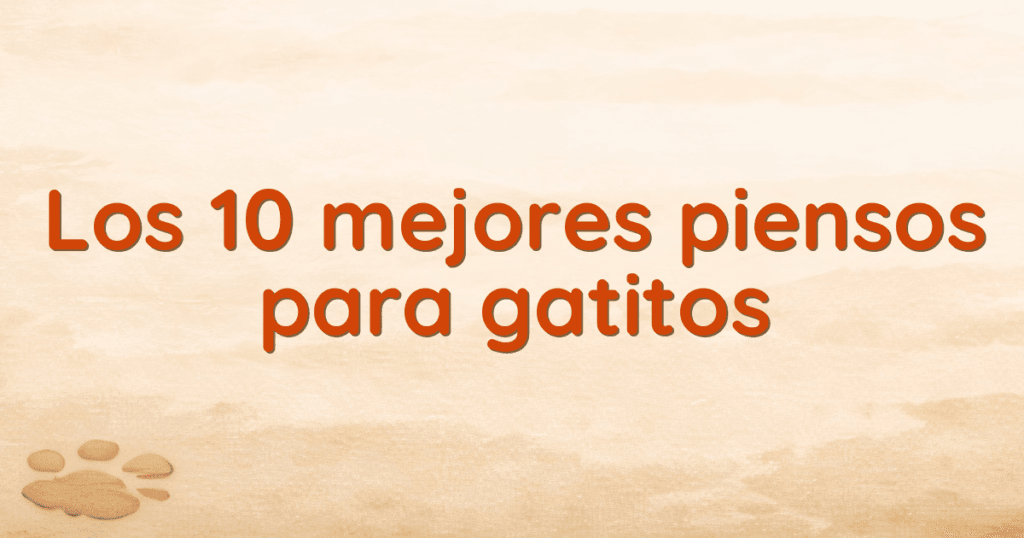 Los 10 mejores piensos para gatitos Los 10 mejores piensos para gatitos