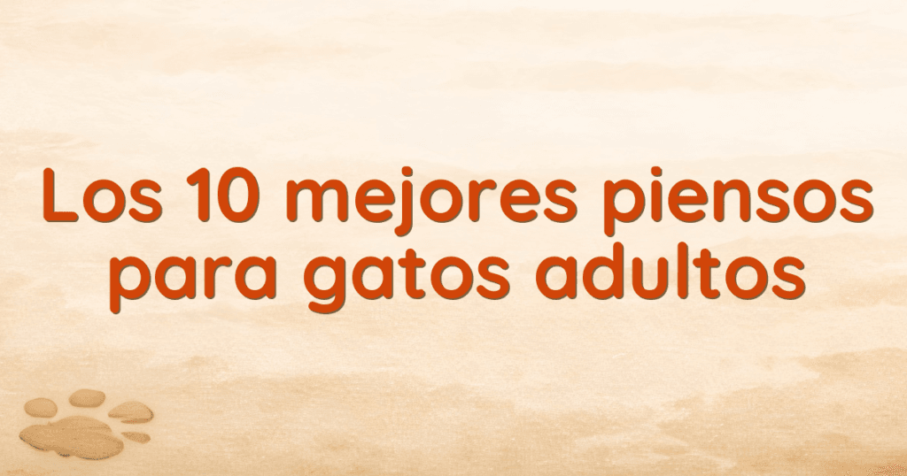 Los 10 mejores piensos para gatos adultos Los 10 mejores piensos para gatos adultos