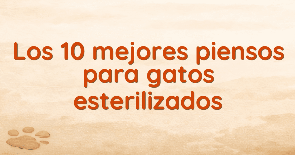 Los 10 mejores piensos para gatos esterilizados