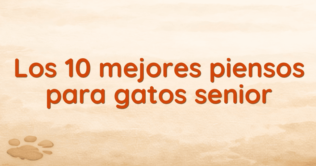 Los 10 mejores piensos para gatos senior