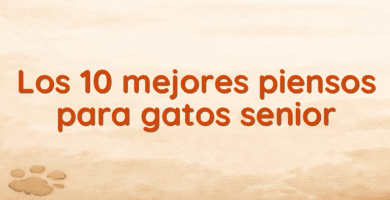 Los 10 mejores piensos para gatos senior
