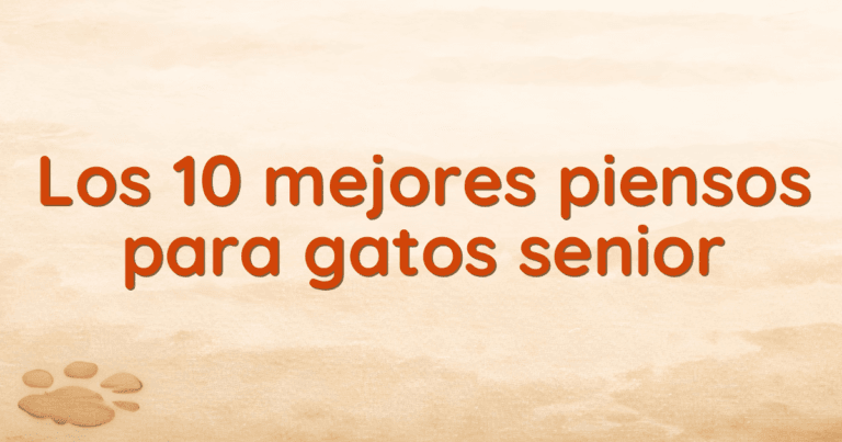 Los 10 mejores piensos para gatos senior