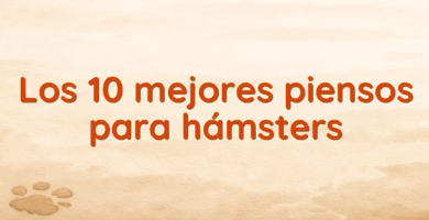 Los 10 mejores piensos para hámsters Los 10 mejores piensos para hámsters