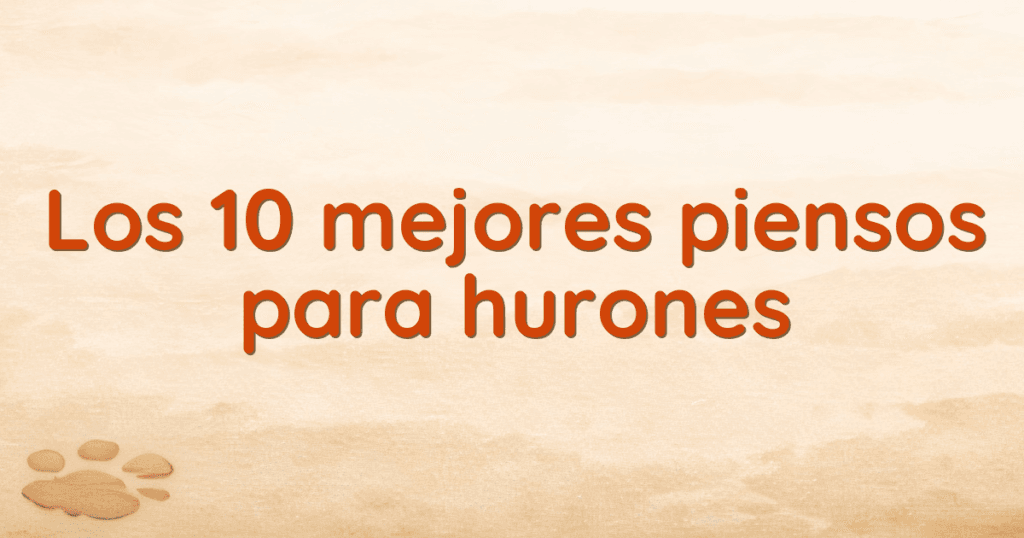 Los 10 mejores piensos para hurones