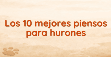 Los 10 mejores piensos para hurones