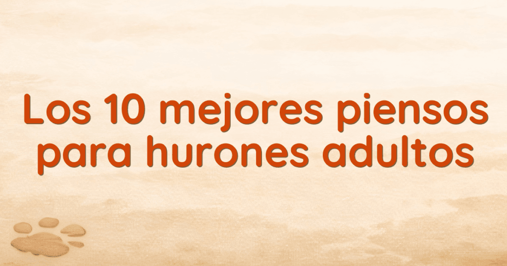 Los 10 mejores piensos para hurones adultos