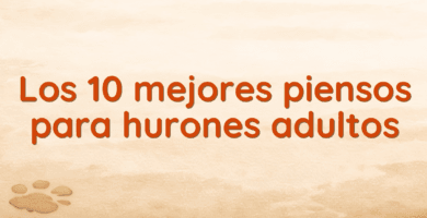 Los 10 mejores piensos para hurones adultos
