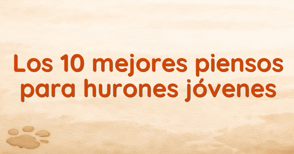 Los 10 mejores piensos para hurones jóvenes Los 10 mejores piensos para hurones jóvenes