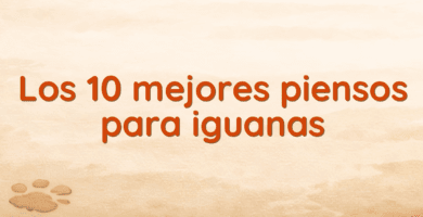 Los 10 mejores piensos para iguanas Los 10 mejores piensos para iguanas
