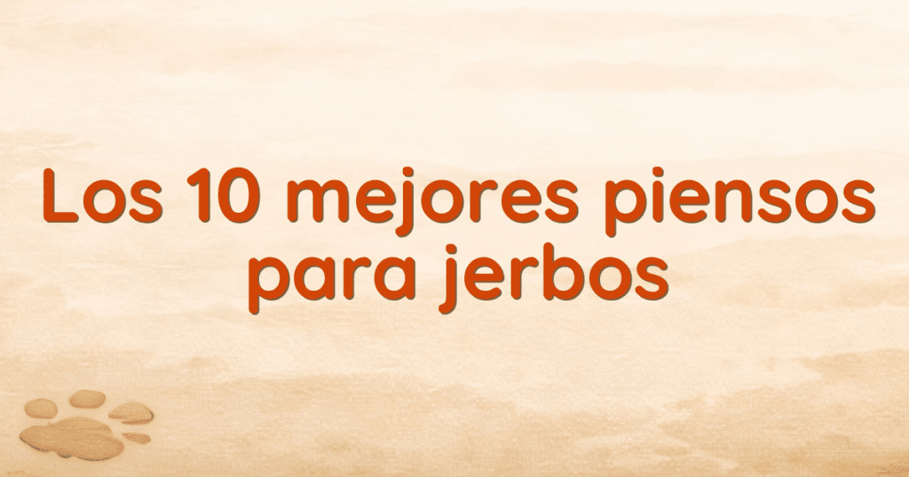 Los 10 mejores piensos para jerbos