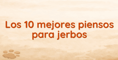 Los 10 mejores piensos para jerbos