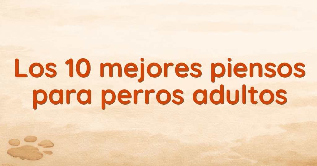 Los 10 mejores piensos para perros adultos Los 10 mejores piensos para perros adultos