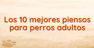 Los 10 mejores piensos para perros adultos Los 10 mejores piensos para perros adultos