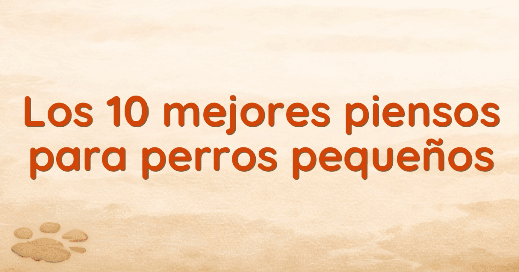 Los 10 mejores piensos para perros pequeños