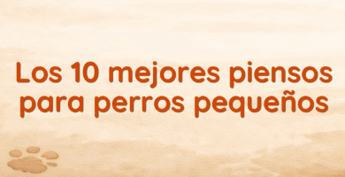 Los 10 mejores piensos para perros pequeños