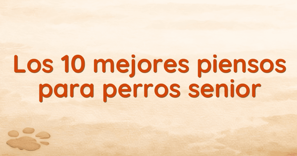 Los 10 mejores piensos para perros senior Los 10 mejores piensos para perros senior