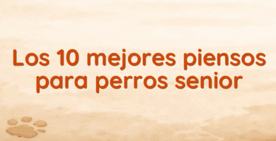 Los 10 mejores piensos para perros senior
