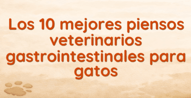 Los 10 mejores piensos veterinarios gastrointestinales para gatos
