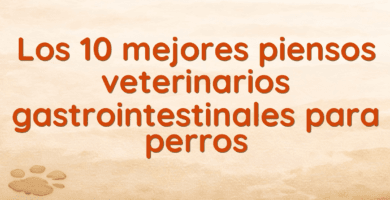 Los 10 mejores piensos veterinarios gastrointestinales para perros Los 10 mejores piensos veterinarios gastrointestinales para perros
