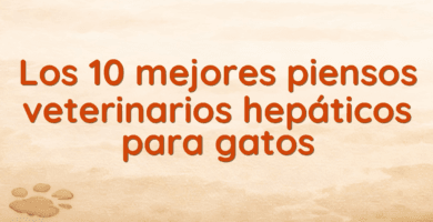Los 10 mejores piensos veterinarios hepáticos para gatos