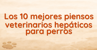 Los 10 mejores piensos veterinarios hepáticos para perros