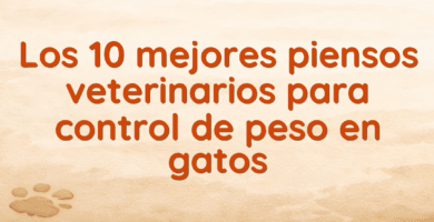 Los 10 mejores piensos veterinarios para control de peso en gatos