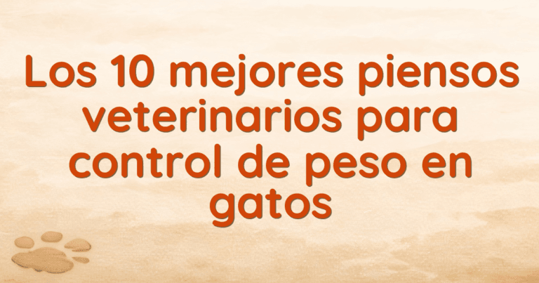 Los 10 mejores piensos veterinarios para control de peso en gatos