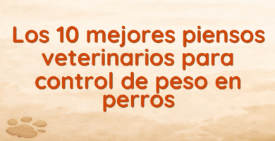Los 10 mejores piensos veterinarios para control de peso en perros