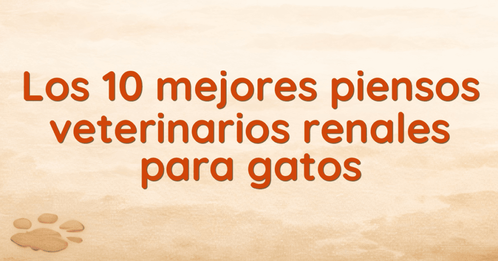 Los 10 mejores piensos veterinarios renales para gatos