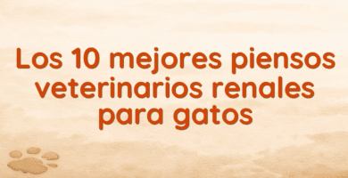 Los 10 mejores piensos veterinarios renales para gatos Los 10 mejores piensos veterinarios renales para gatos