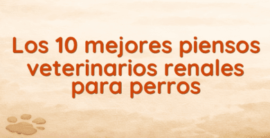 Los 10 mejores piensos veterinarios renales para perros Los 10 mejores piensos veterinarios renales para perros