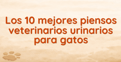 Los 10 mejores piensos veterinarios urinarios para gatos Los 10 mejores piensos veterinarios urinarios para gatos