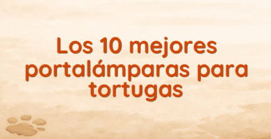 Los 10 mejores portalámparas para tortugas