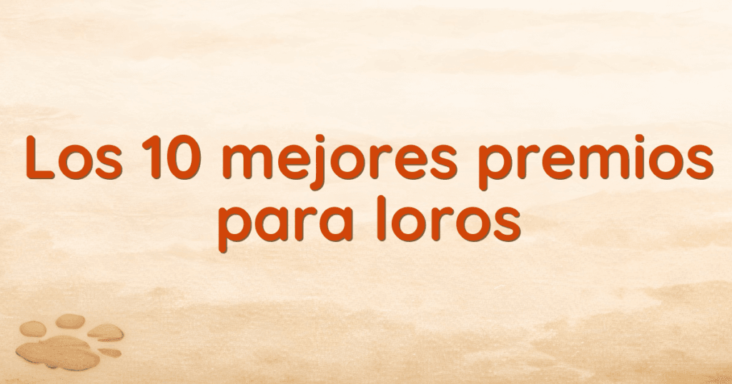 Los 10 mejores premios para loros