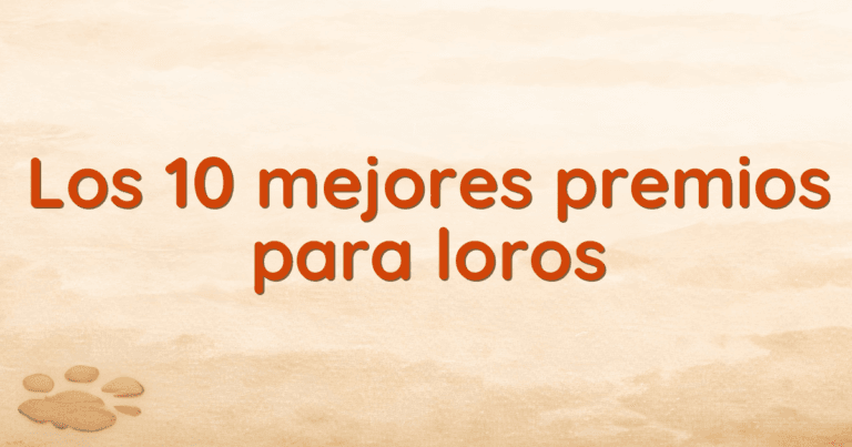 Los 10 mejores premios para loros