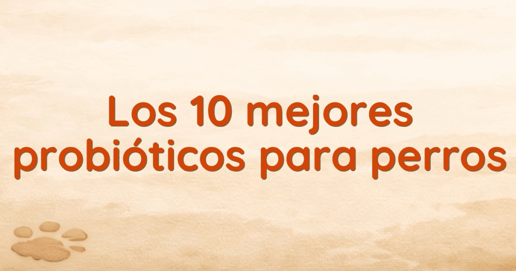 Los 10 mejores probióticos para perros
