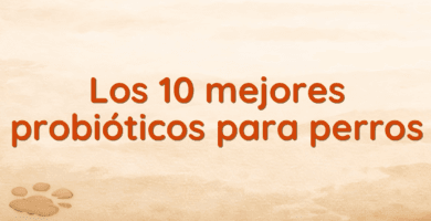 Los 10 mejores probióticos para perros