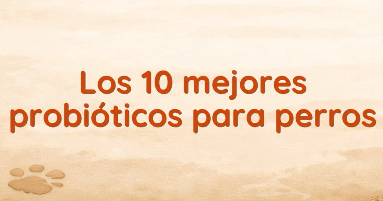 Los 10 mejores probióticos para perros